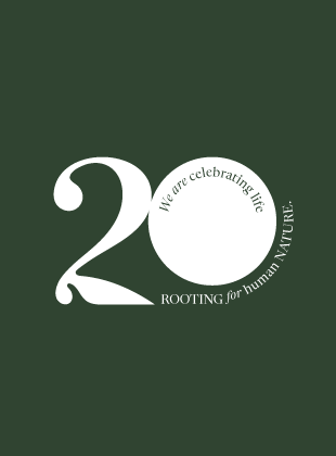 20 years of a never-ending dream