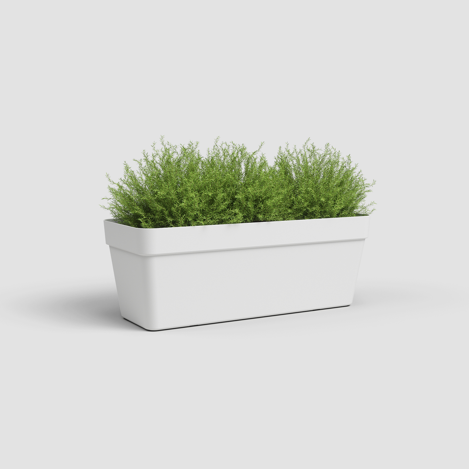 capri plant box