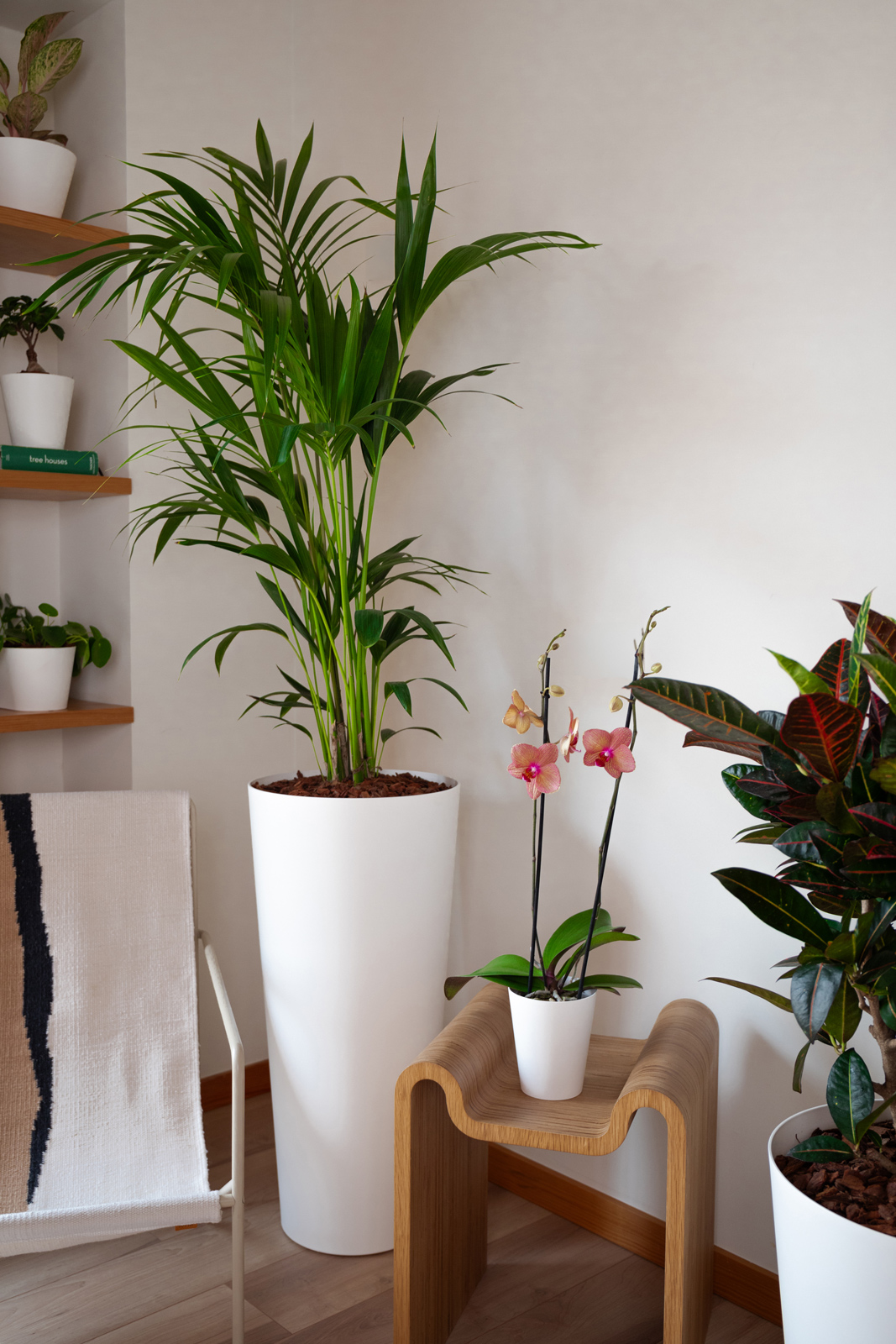 Porto Orchid Pot