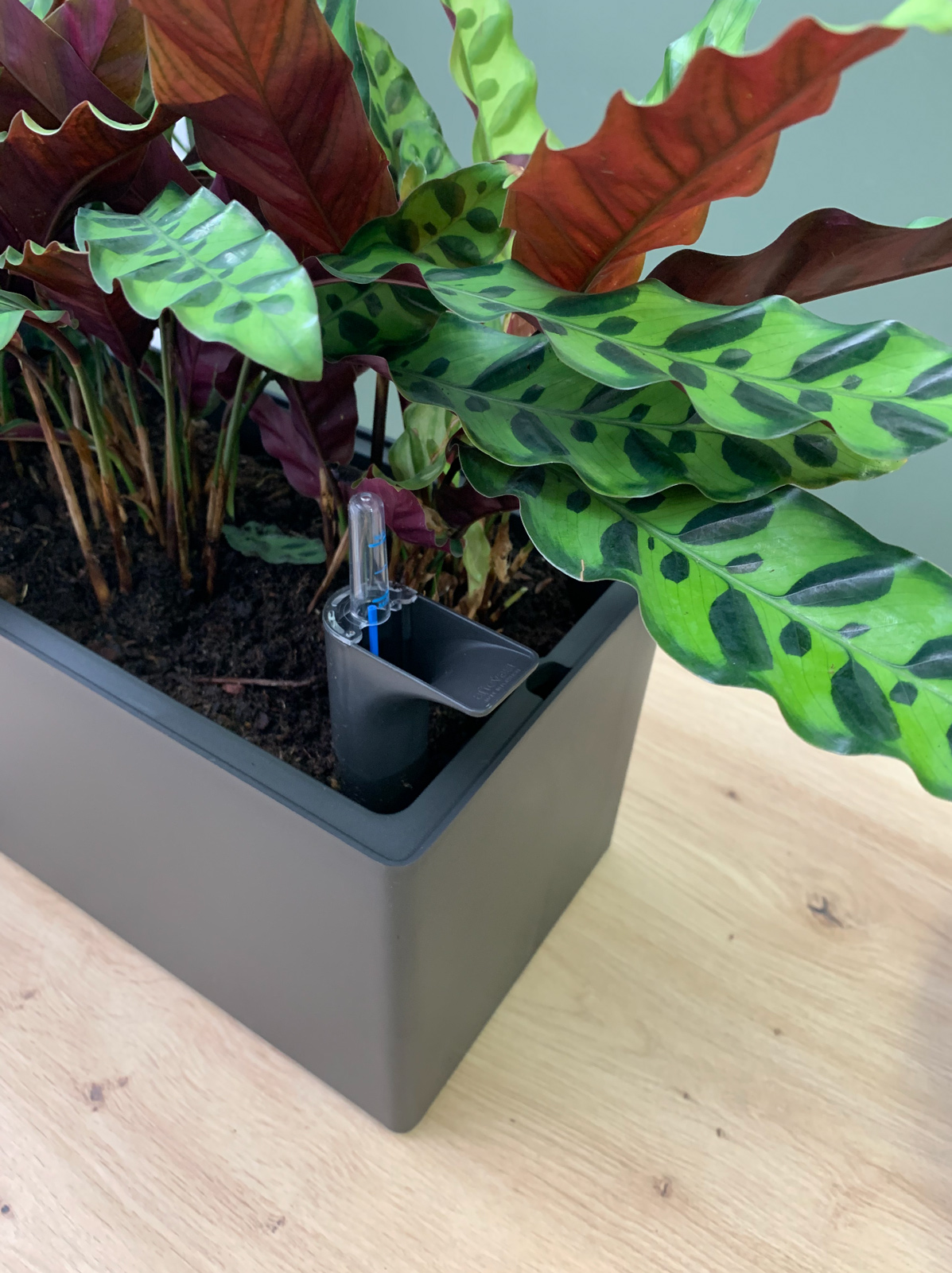 Floreira Rimini Self Watering System