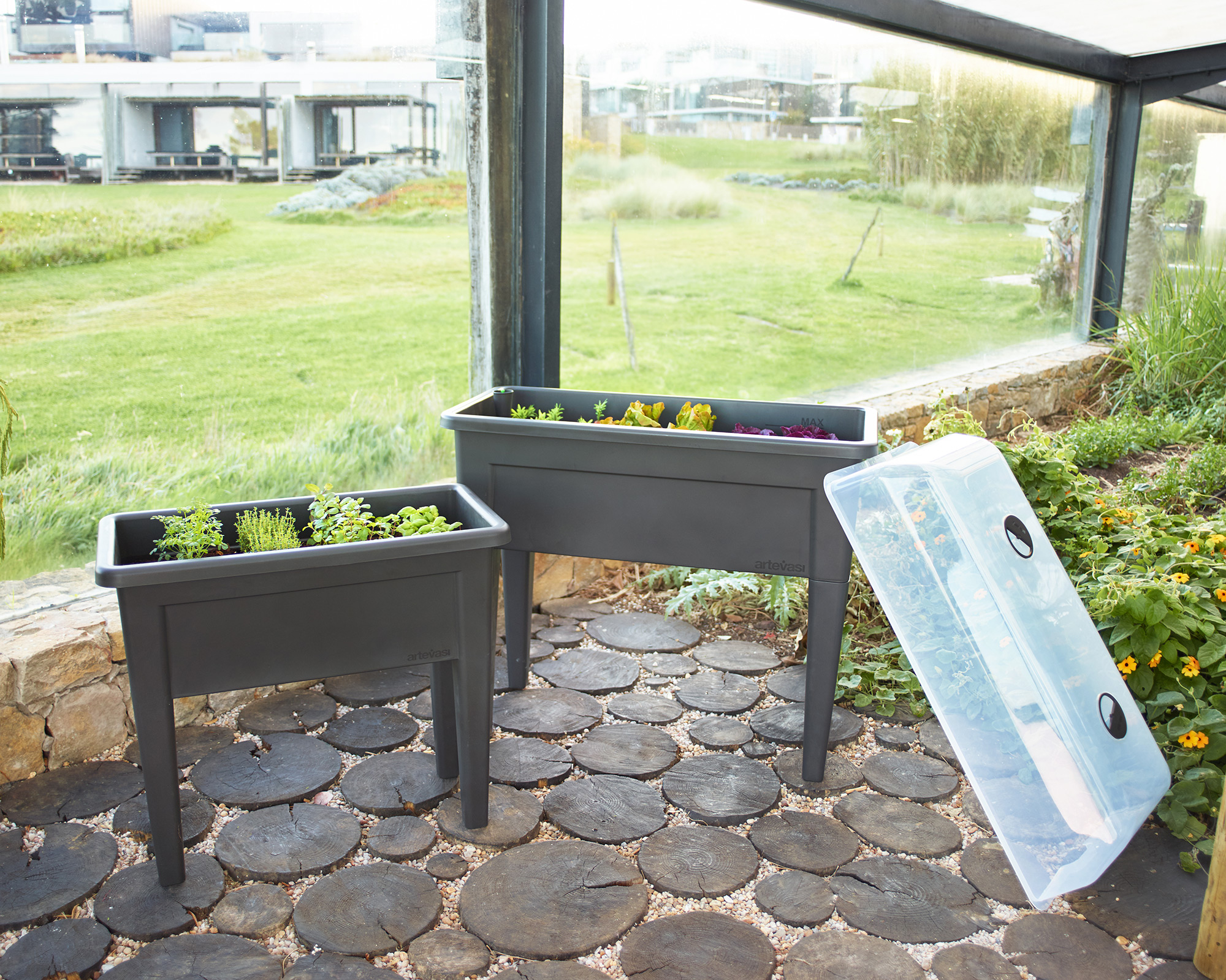 Blog - Ervas Aromáticas