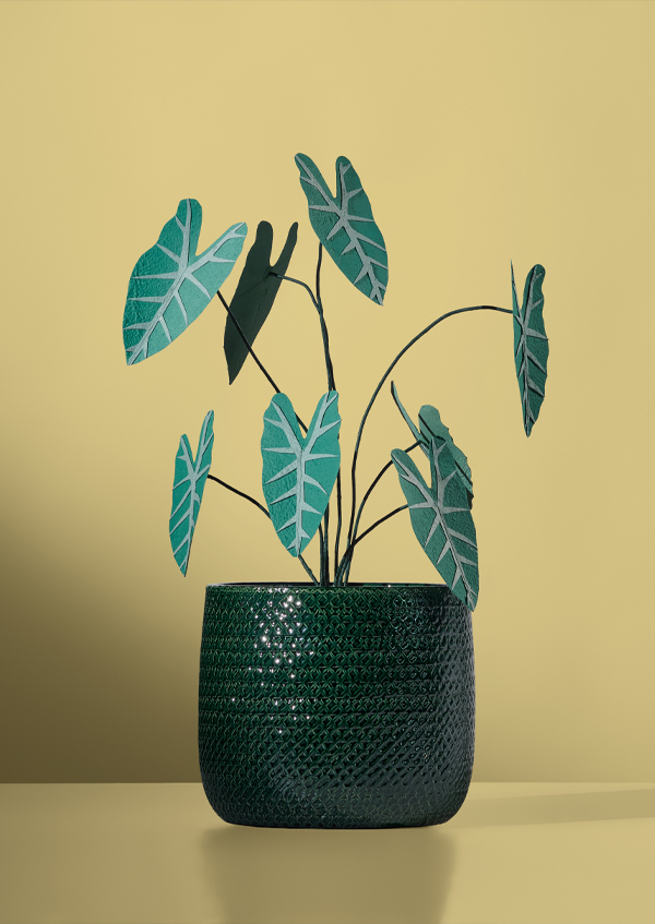 The Olympus of ceramics